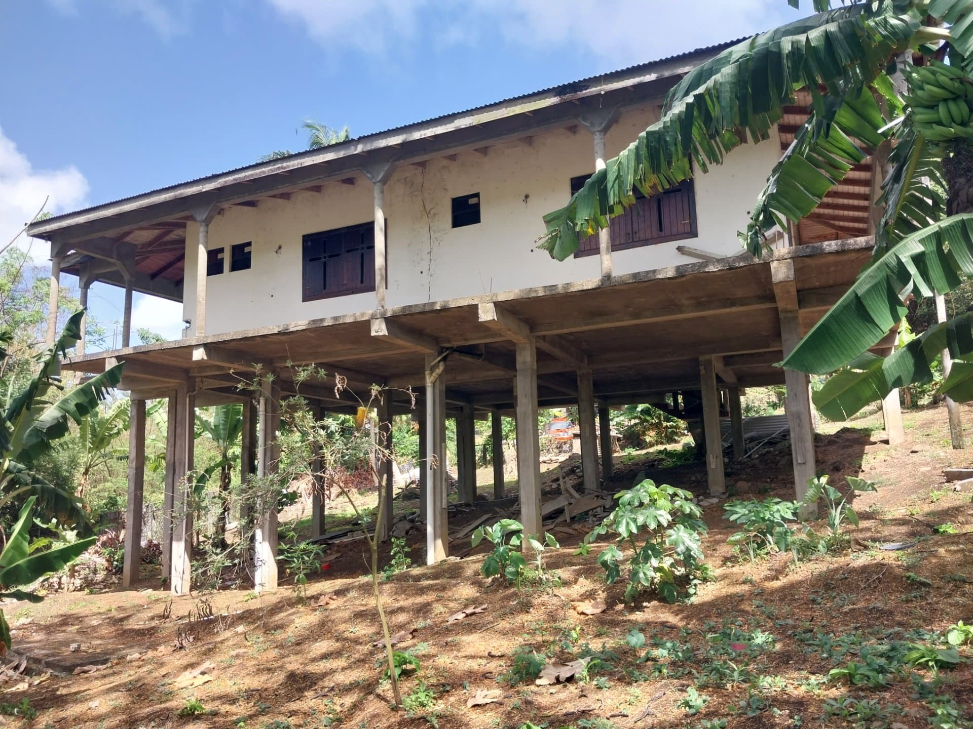 Listing image 1 of 3